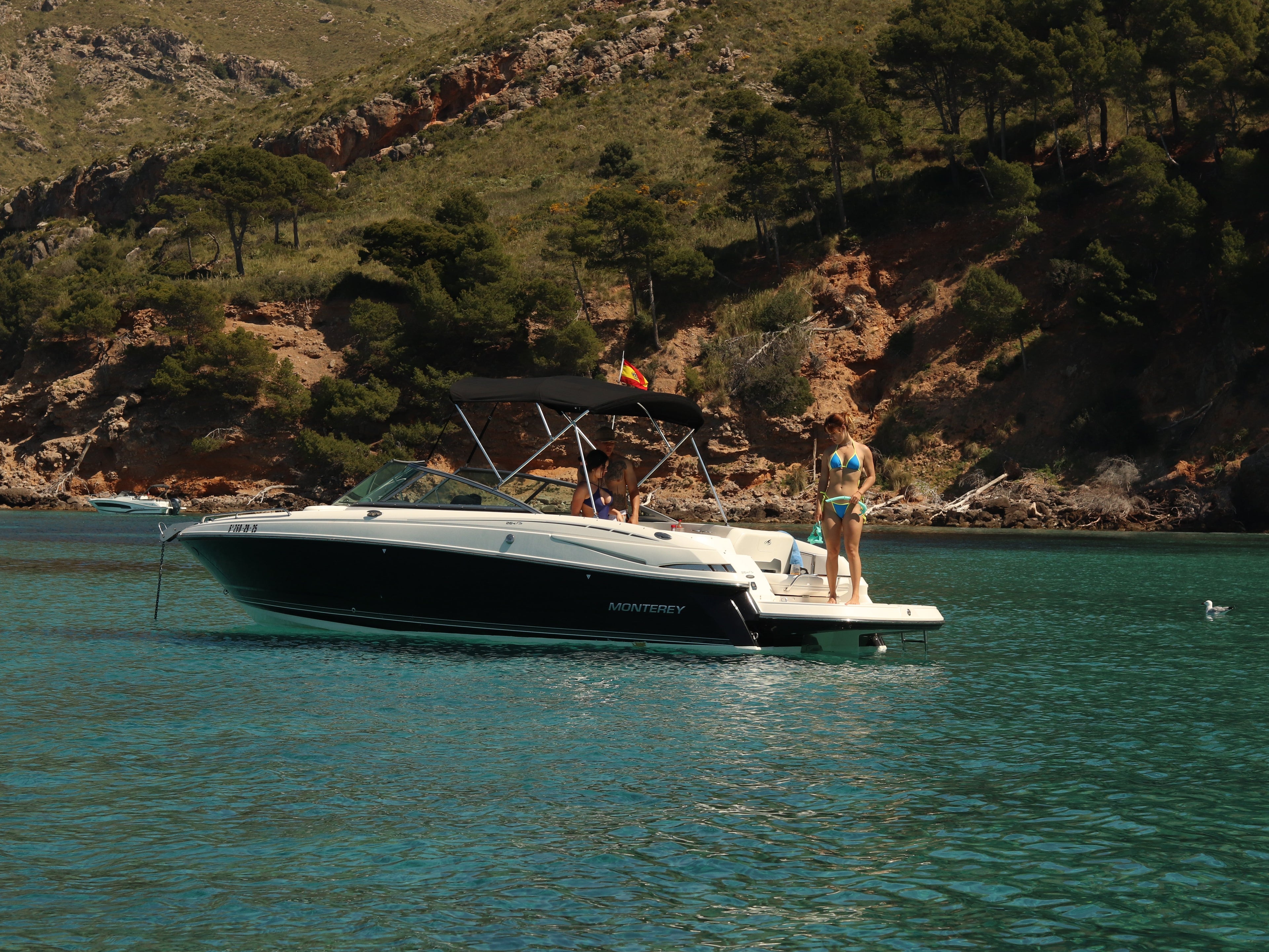 Barcos