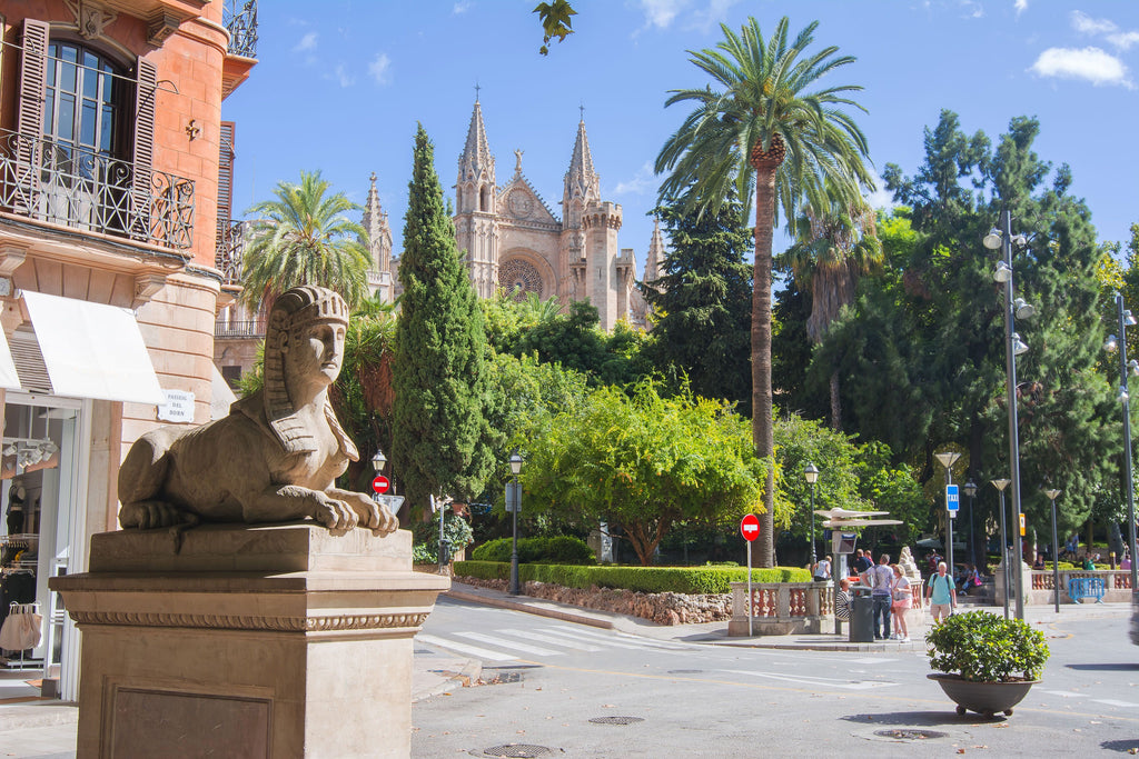 Palma a tu ritmo