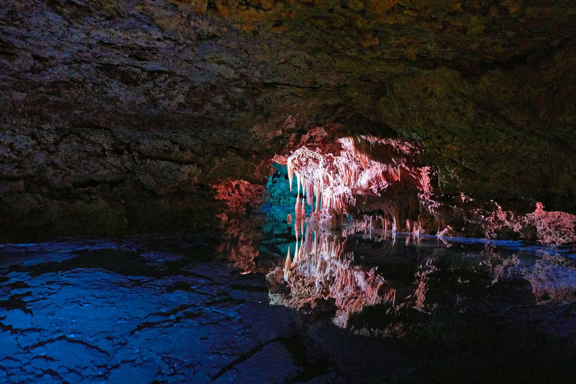Cuevas del Drach 1/2 day (Pickup: North and East Zone) 
