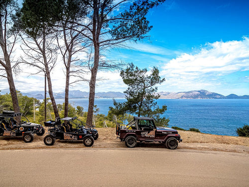 2-seater buggy with manual transmission 