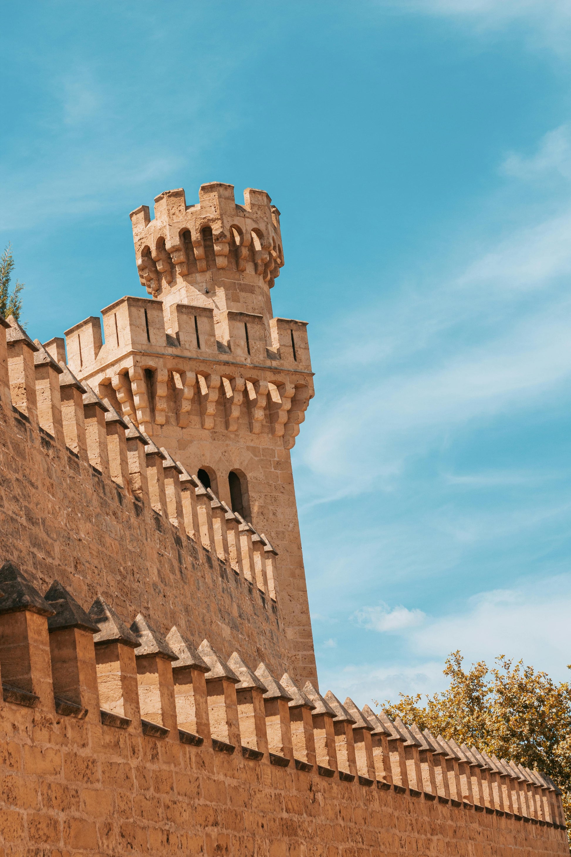 Palma at your own pace 