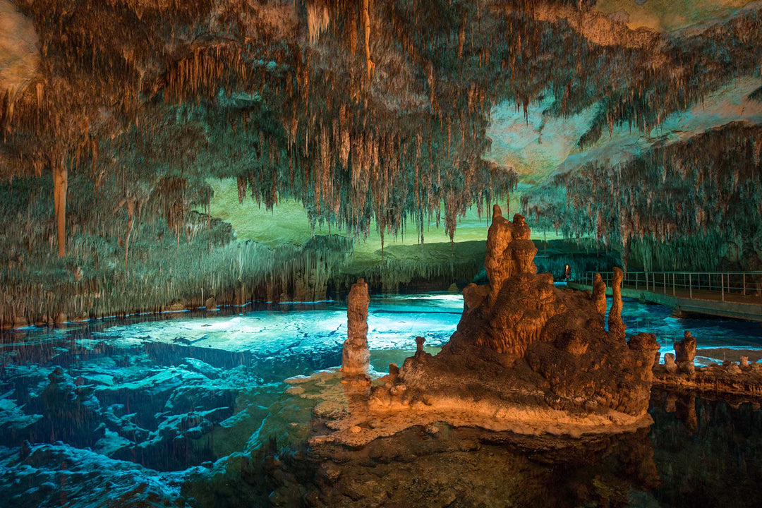 Cuevas del Drach 1/2 day (Pickup: North and East Zone) 