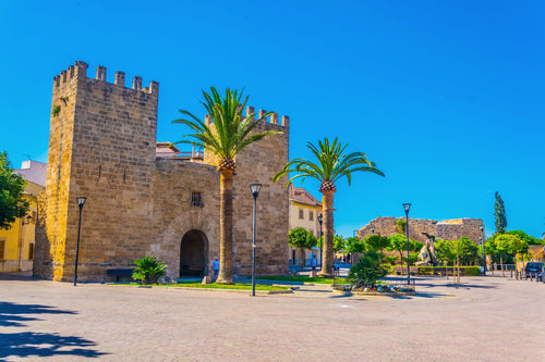 Alcudia and Formentor beach (Pickup: East and South Zone) 