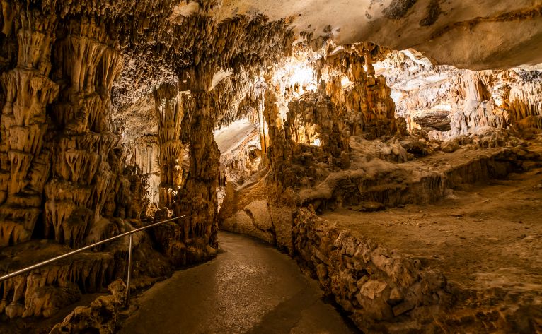 Cuevas del Drach 1/2 day (Pickup: North and East Zone) 