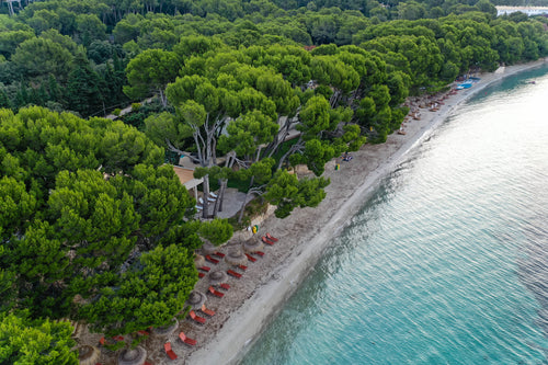 Alcudia and Formentor beach (Pickup: East and South Zone) 