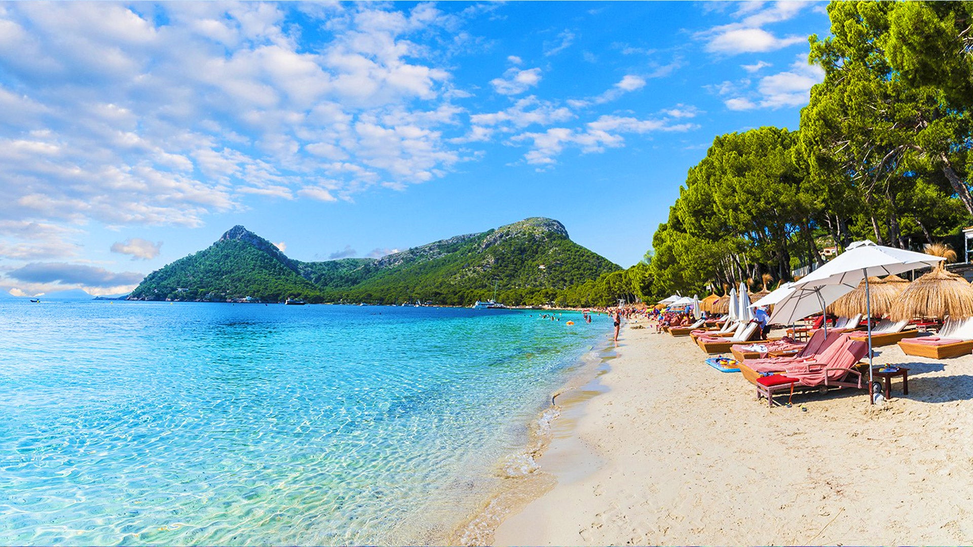 Formentor Beach 1/2 Day (North Zone) 