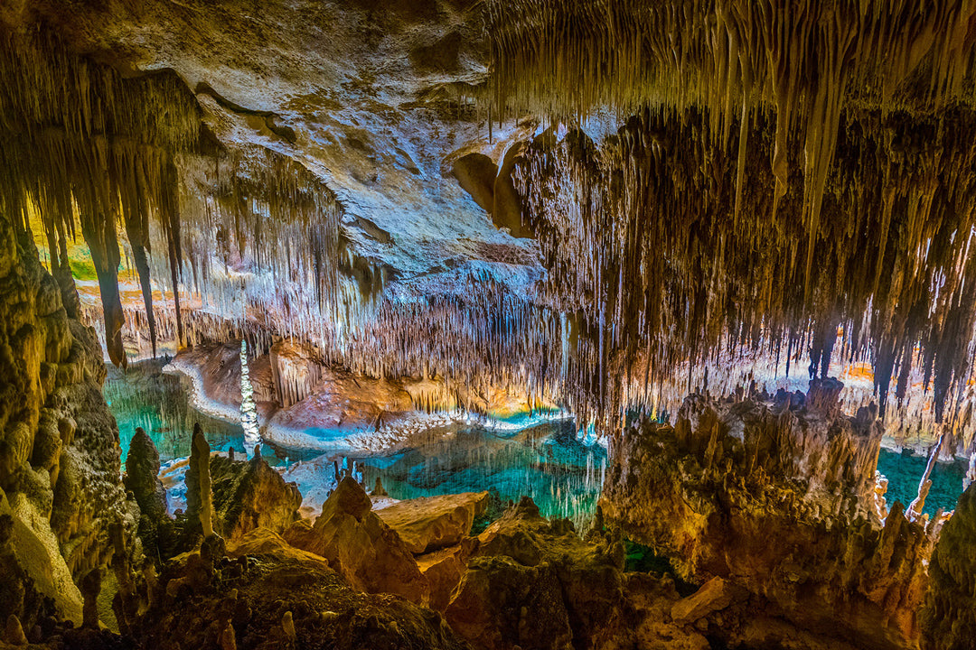 Cuevas del Drach 1/2 day (Pickup: North and East Zone) 