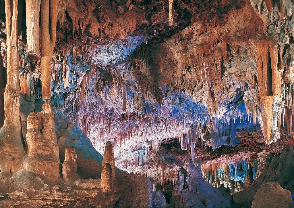 Cuevas del Drach 1/2 day (Pickup: North and East Zone) 