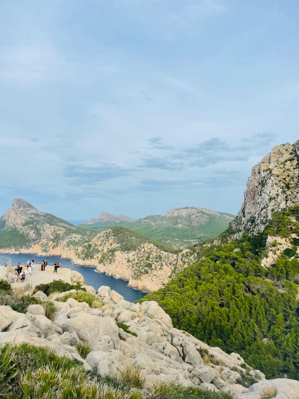 Alcudia and Formentor beach (Pickup: East and South Zone) 