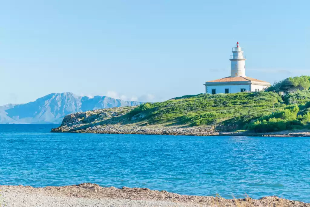 Wild nature in the Bay of Alcudia - Private boat tour